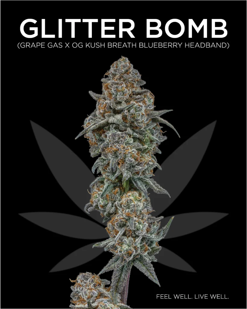 Macro Photography image stack of the cannabis strain Glitter Bomb's cola containing green buds with orange stigmas and dense trichomes