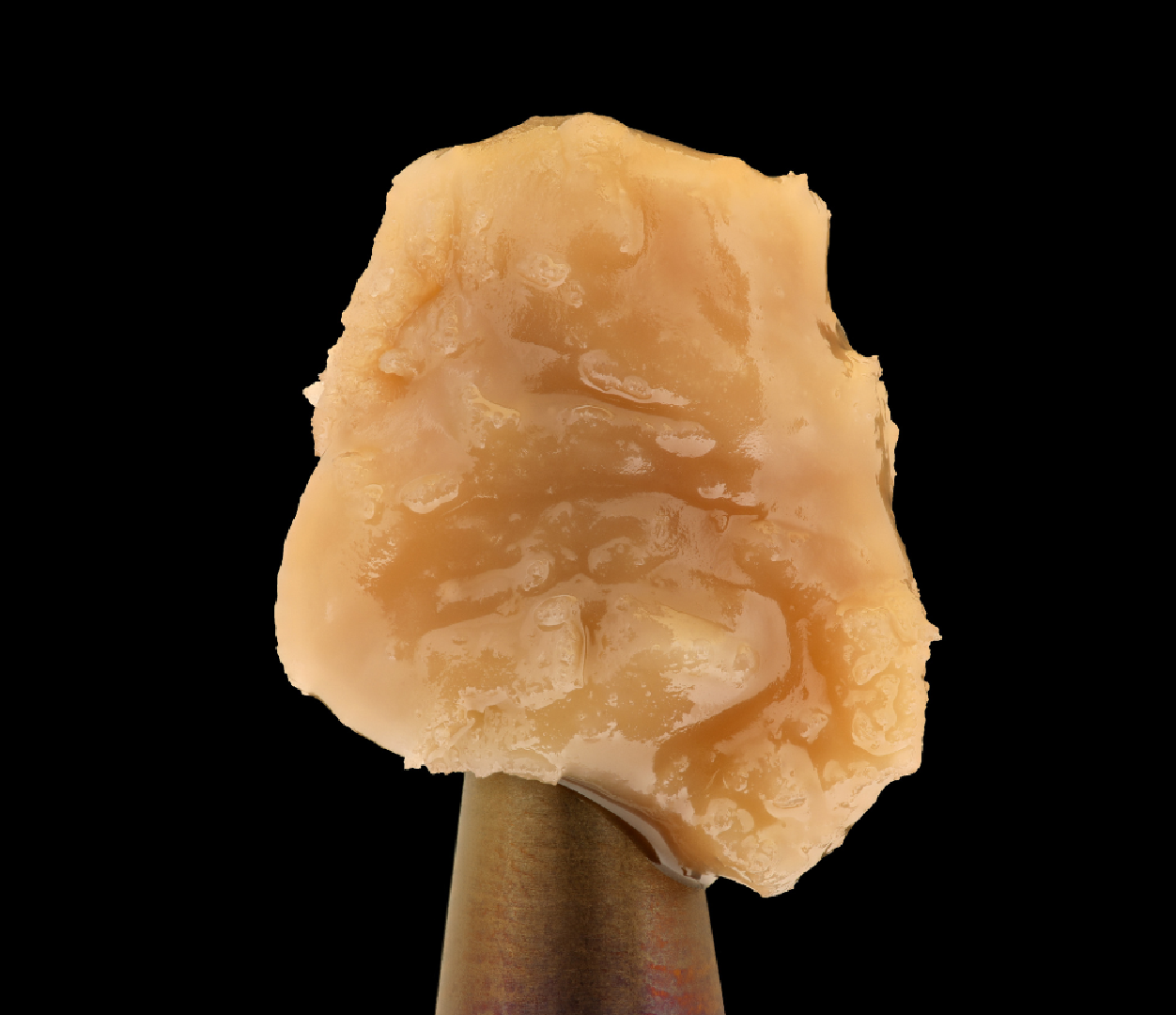 Premium solventless live rosin cannabis concentrate made from fresh-frozen flower, showing rich golden color and creamy texture.